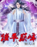 踏平巅峰小说