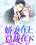 总裁在上霸宠小娇妻