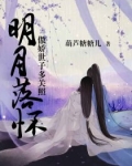 明月落怀:傲娇世子多关照