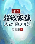 超级家族小说