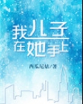 我儿子在他手上小说