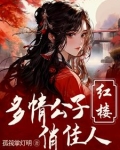 红楼:重生贾环文武双全 作者:孤筏掌灯明