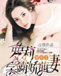 重生之学霸小娇妻