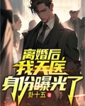 小说第一章离婚后的第一天
