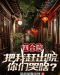 四合院从隔壁院子开始逍遥人生