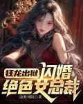 小说狂龙惊艳