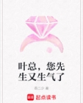 免费阅读小说叶先生