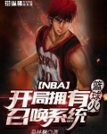 nba开局。 小说