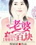 楚楚动人老婆一百块小说免费