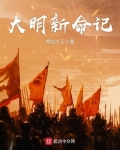 大明新命记 小说