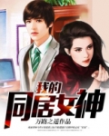 我的同居女神百度简介