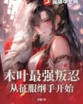 木叶的纲手公主