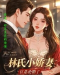 女主角林氏集团的小说