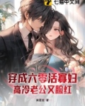 穿成六零成寡妇为后妈