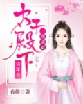 一夜弃妃,太子的替嫁新娘