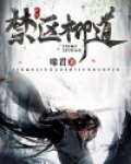 万道禁区小说