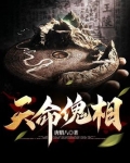天命傀相结局
