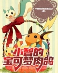 《精灵宝可梦》. 小智