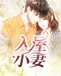 小妻入梦来