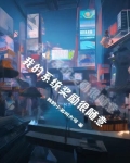 第3章系统的奖励