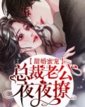 甜婚蜜宠,总裁老公夜夜撩 小说