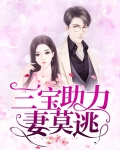 三宝求情妻莫怪小说免费阅读