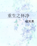 重生之怀净