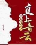 官场书记的第一红人免费阅读