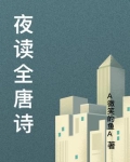 夜读诗卷的意思