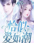 恰似爱如潮水