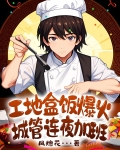 工地盒饭爆火,城管连夜加班小说