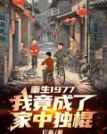 重生1977,我竟成了家中独棍子的小说