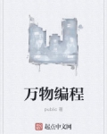 万物编程系统小说