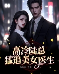 高冷陆总猛追美女医生小说