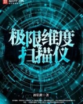 极限维度游戏