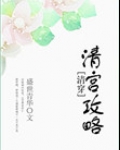清宫攻略(清穿)
