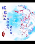综影视梦中的世界之旅
