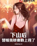 下山的小说