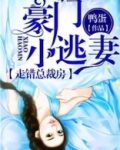 豪门小逃妻走错总裁房的小说