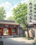 我的年代怎么还有四合院小说