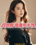 四合院我叫许大茂的小说