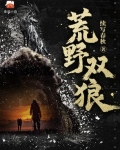 荒野双狼小说
