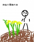 我在六零种大米