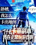 什么卡崩副本?我在正常玩游戏啊小说