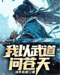 天龙我以武道叩天门