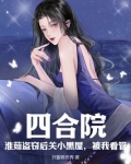 四合院:淮茹盗窃后关小黑屋,被我看管! 第3章
