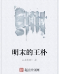 明末王朴小说在线阅读