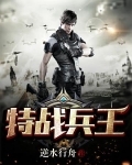 特战兵王李天澜笔趣阁小说