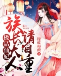 极品仙界 小说
