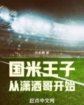 国米王子从潇洒哥开始